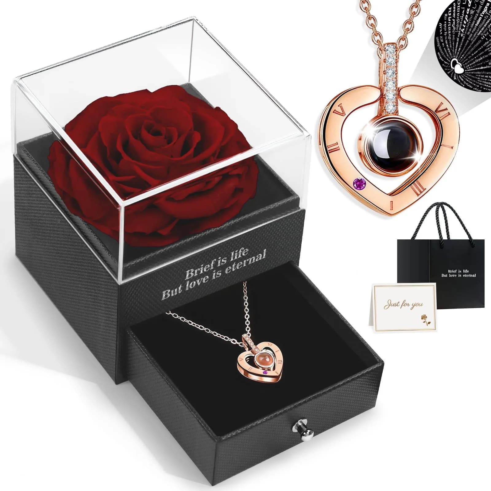 HEGUD Preserved Real Rose with Necklace | Eternal Flowers for Mom & Women - main product image