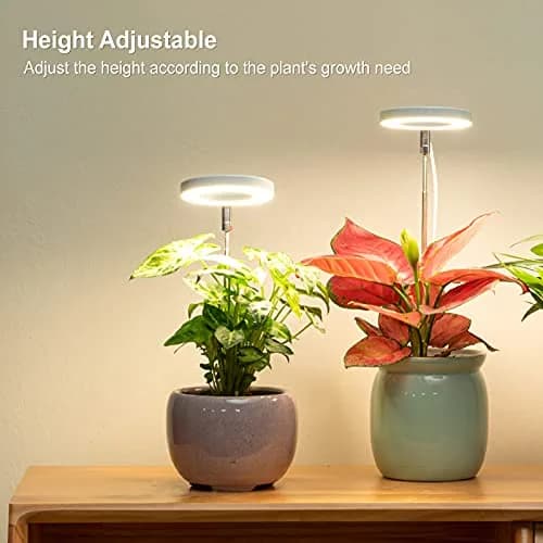 LORDEM Full Spectrum LED Grow Light for Indoor Plants | Auto Timer & Dimmable Brightness (70-120 chars) thumbnail 2