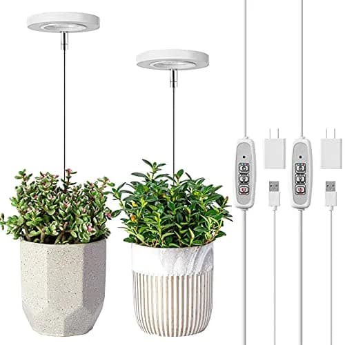 LORDEM Grow Light for Indoor Plants, Full Spectrum LED 2 Packs | Auto Timer & Dimmable Brightness (70-120 chars) thumbnail 1