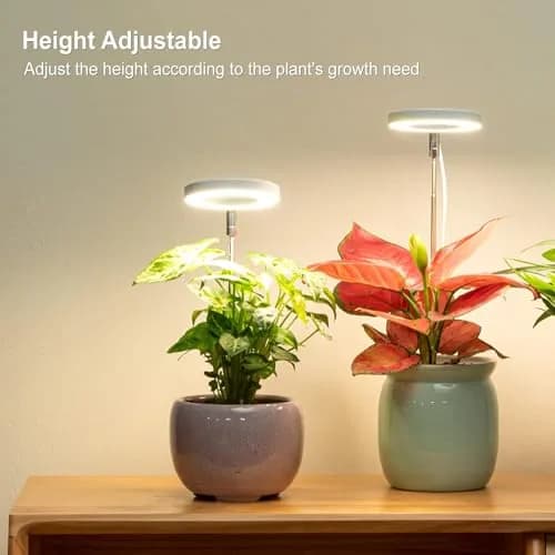 LORDEM Grow Light for Indoor Plants, Full Spectrum LED 2 Packs | Auto Timer & Dimmable Brightness (70-120 chars) thumbnail 5