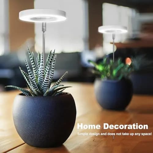 LORDEM Grow Light for Indoor Plants, Full Spectrum LED 2 Packs | Auto Timer & Dimmable Brightness (70-120 chars) thumbnail 2