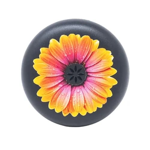 Invisalign Aligner and Retainer Case, Orange Daisy | Medical-Grade Thermoplastic, Magnetic Closure thumbnail 1