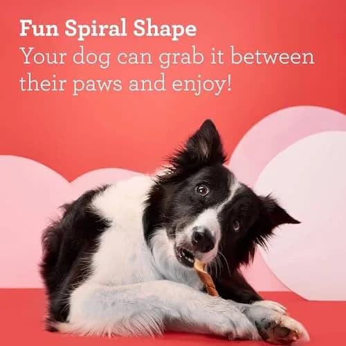 DreamBone Spirals Variety Pack Dog Treats 7.3oz | Rawhide-Free, Supports Skin & Coat thumbnail 3