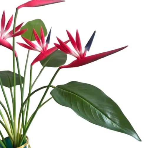 Corkwaw Red Artificial Bird of Paradise Flowers 55cm (21.5 Inch) | Pack of 8 Realistic Tropical Stems thumbnail 7