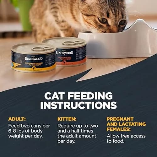 Blackwood Wet Cat Food, Chicken & Pumpkin, 3 oz | Slow-Cooked, Grain-Free Nutrition for Cats thumbnail 5