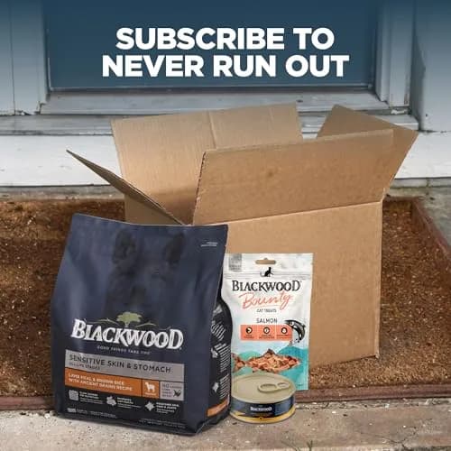 Blackwood Wet Cat Food, Chicken & Pumpkin, 3 oz | Slow-Cooked, Grain-Free Nutrition for Cats thumbnail 6