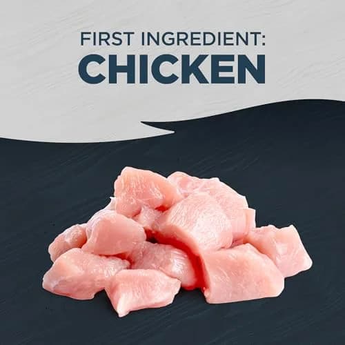 Blackwood Wet Cat Food, Chicken & Pumpkin, 3 oz | Slow-Cooked, Grain-Free Nutrition for Cats thumbnail 2