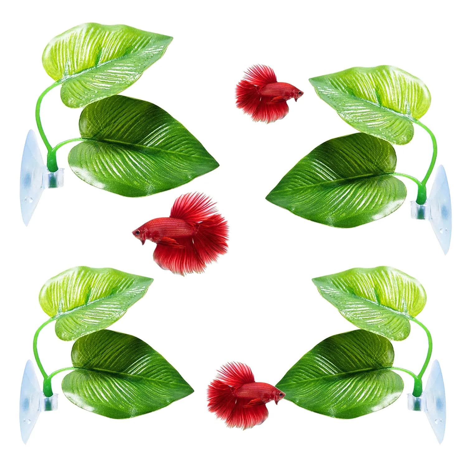 CousDUoBe 4 Pack Betta Fish Leaf Pads | Simulates Natural Habitat for Betta Health