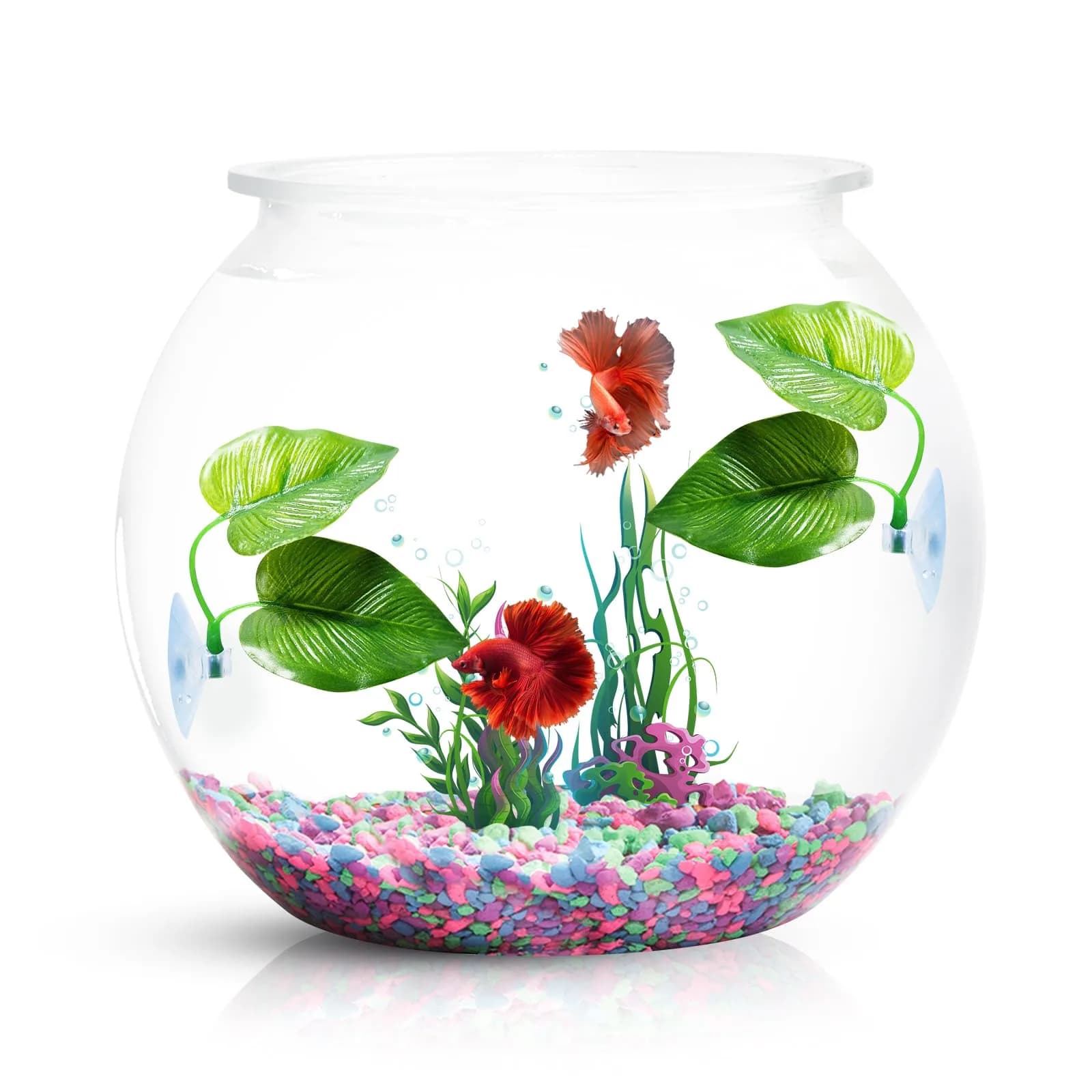 CousDUoBe 4 Pack Betta Fish Leaf Pads | Simulates Natural Habitat for Betta Health - view 2