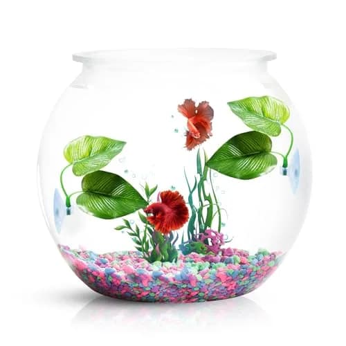 CousDUoBe 4 Pack Betta Fish Leaf Pads | Simulates Natural Habitat for Betta Health thumbnail 2