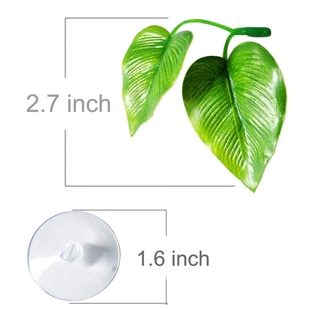 CousDUoBe 4 Pack Betta Fish Leaf Pads | Simulates Natural Habitat for Betta Health - view 3