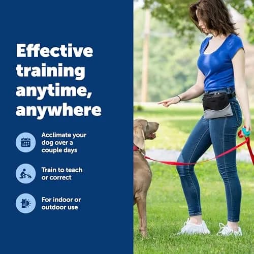 PetSafe Clik-R Dog Training Clicker, Blue | Ergonomic & Comfortable for All Ages thumbnail 5