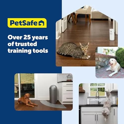 PetSafe Clik-R Dog Training Clicker, Blue | Ergonomic & Comfortable for All Ages thumbnail 7