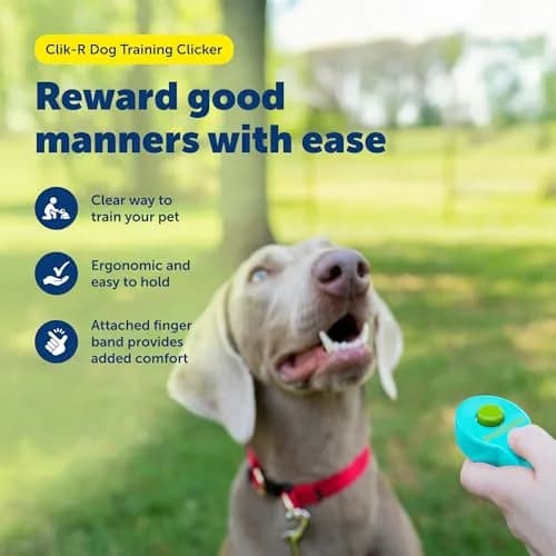PetSafe Clik-R Dog Training Clicker, Blue | Ergonomic & Comfortable for All Ages thumbnail 2