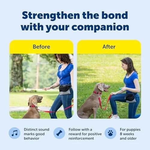 PetSafe Clik-R Dog Training Clicker, Blue | Ergonomic & Comfortable for All Ages thumbnail 3