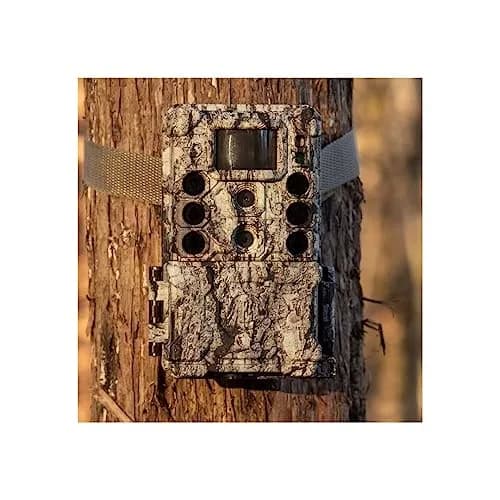Bushnell Core DS-4K No Glow Trail Camera | 4K Video, 32MP Images, 120ft Night Vision thumbnail 6
