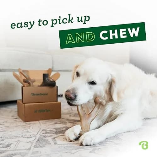 Benebone Medium 4-Pack Dog Chew Toys for Aggressive Chewers Under 60 lbs | Real Bacon Flavor thumbnail 2