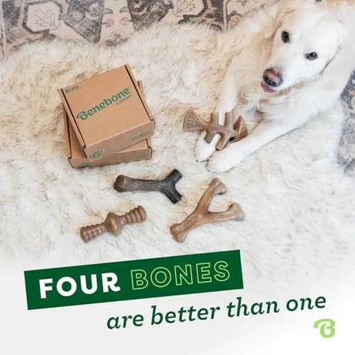 Benebone Large 4-Pack Dog Chew Toys for Aggressive Chewers – 2.8 lbs (1.27 kg) | USA-Sourced Nylon for Dogs Under 90 lbs thumbnail 5