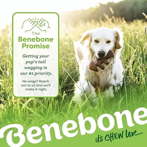 Benebone Large 4-Pack Dog Chew Toys for Aggressive Chewers – 2.8 lbs (1.27 kg) | USA-Sourced Nylon for Dogs Under 90 lbs thumbnail 7