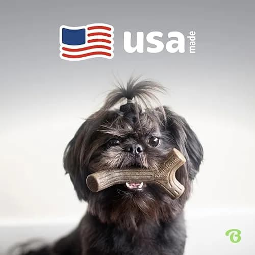 Benebone Small 4-Pack Bacon Flavored Dog Chew Toys for Aggressive Chewers – Under 30 lbs | Durable, Multipack, Super Chewer, Made in USA thumbnail 6