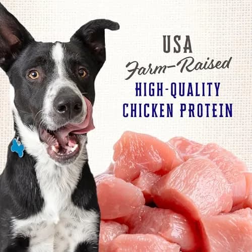 Wholesomes Rewards Puppy Original 20 lb | Protein-Rich Dog Treats with Calcium Support thumbnail 3