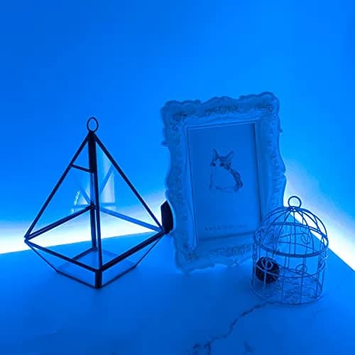 SUPERNIGHT 16.4ft Blue Waterproof LED Strip Light | 600 LEDs, 12V, IP65 thumbnail 8