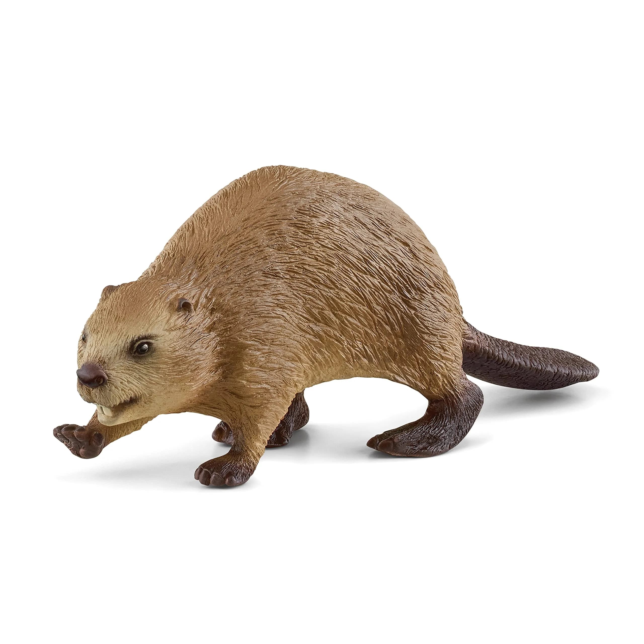 Schleich Beaver Toy Figurine 9.8 cm (3.86 inches) | Authentic Detail & Durable Quality — Beaver