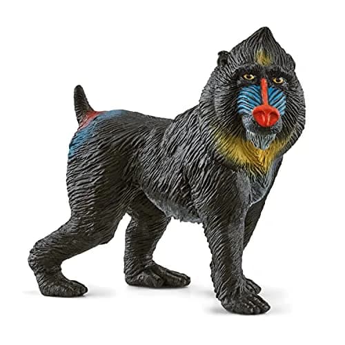 Schleich Mandrill Monkey Figurine 7cm (2.7in) | Realistic Wild Life Toy for Kids Ages 3+ thumbnail 1