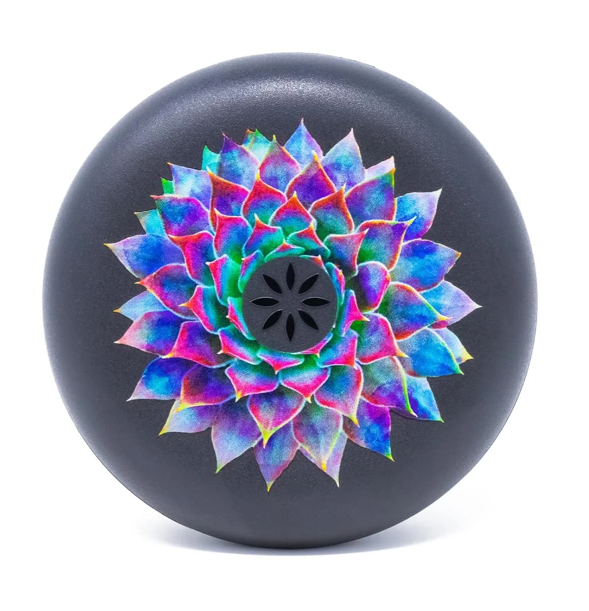 INVISALIGN Succulent Bear Retainer Case | Medical-Grade Thermoplastic, Magnetic Closure, Ventilated Design - main product image