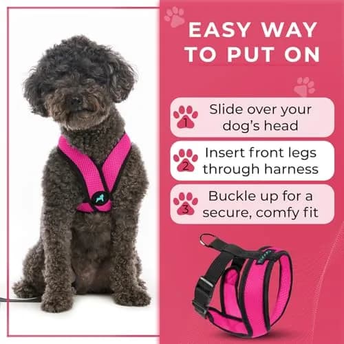 Gooby Comfort X Head-in Dog Harness, Choke-Free, Flamingo Pink, Large (17-22.5" Chest) thumbnail 6