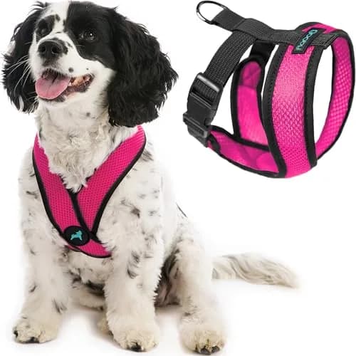 Gooby Comfort X Head-in Dog Harness, Choke-Free, Flamingo Pink, Large (17-22.5" Chest) thumbnail 1