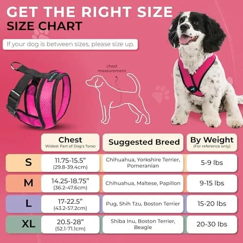 Gooby Comfort X Head-in Dog Harness, Choke-Free, Flamingo Pink, Large (17-22.5" Chest) thumbnail 3
