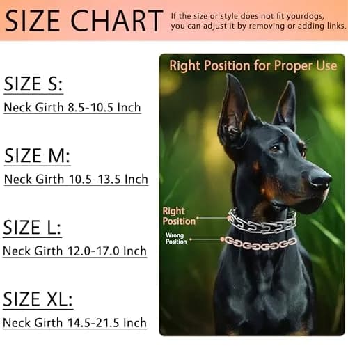 DEYACE Stainless Steel Prong Collar for Dogs with Quick Release Buckle, Adjustable Size (8.5"-10.5" Neck Girth) thumbnail 6