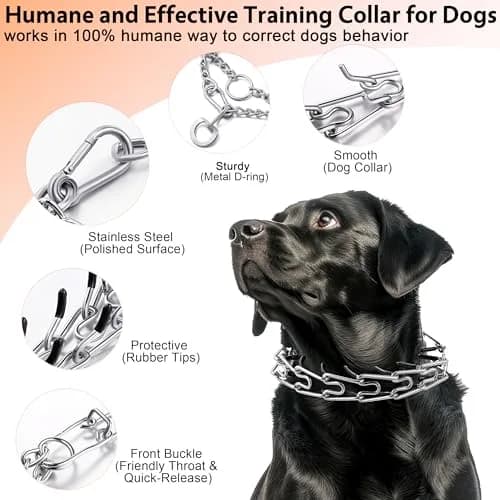 DEYACE Stainless Steel Prong Collar for Dogs with Quick Release Buckle, Adjustable Size (8.5"-10.5" Neck Girth) thumbnail 2