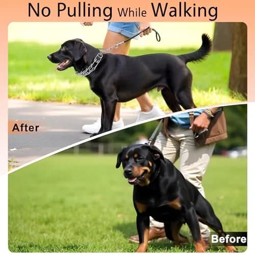 DEYACE Stainless Steel Prong Collar for Dogs | 2.27 kg (5 lb) Neck Girth 10.5"-13.5" (27-34 cm) thumbnail 5