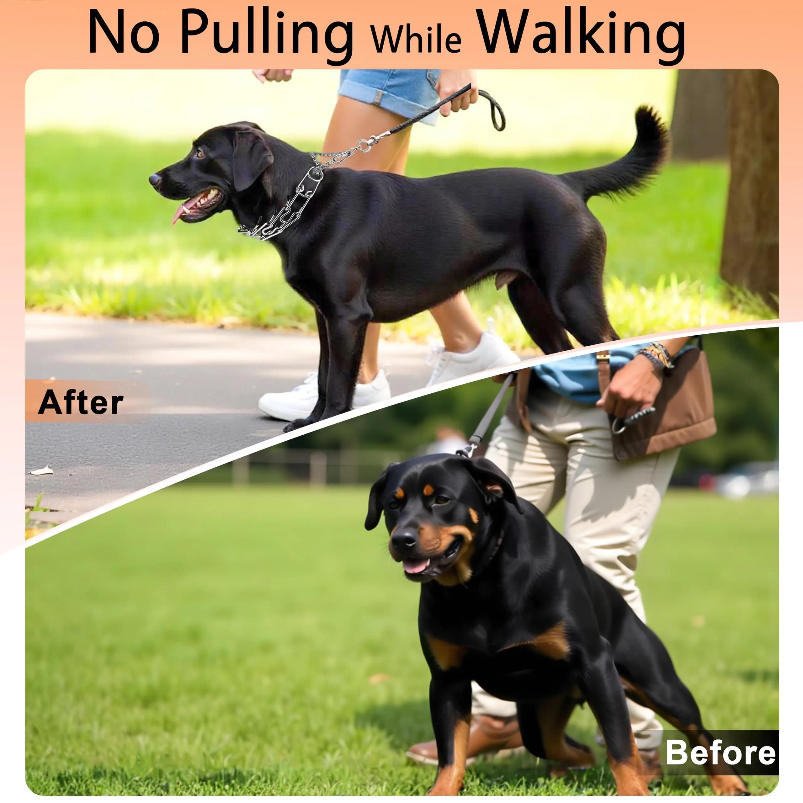 DEYACE Stainless Steel Dog Pinch Collar with Quick Release Buckle & Rubber Tips for Large Dogs, 12"-17" Neck Girth thumbnail 5