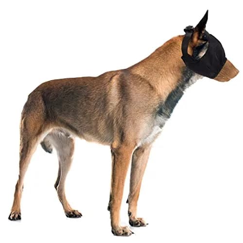 Xuniea Dog Calming Cap Blindfold Shading Large | Anxiety Eye Cover for Grooming & Travel thumbnail 1