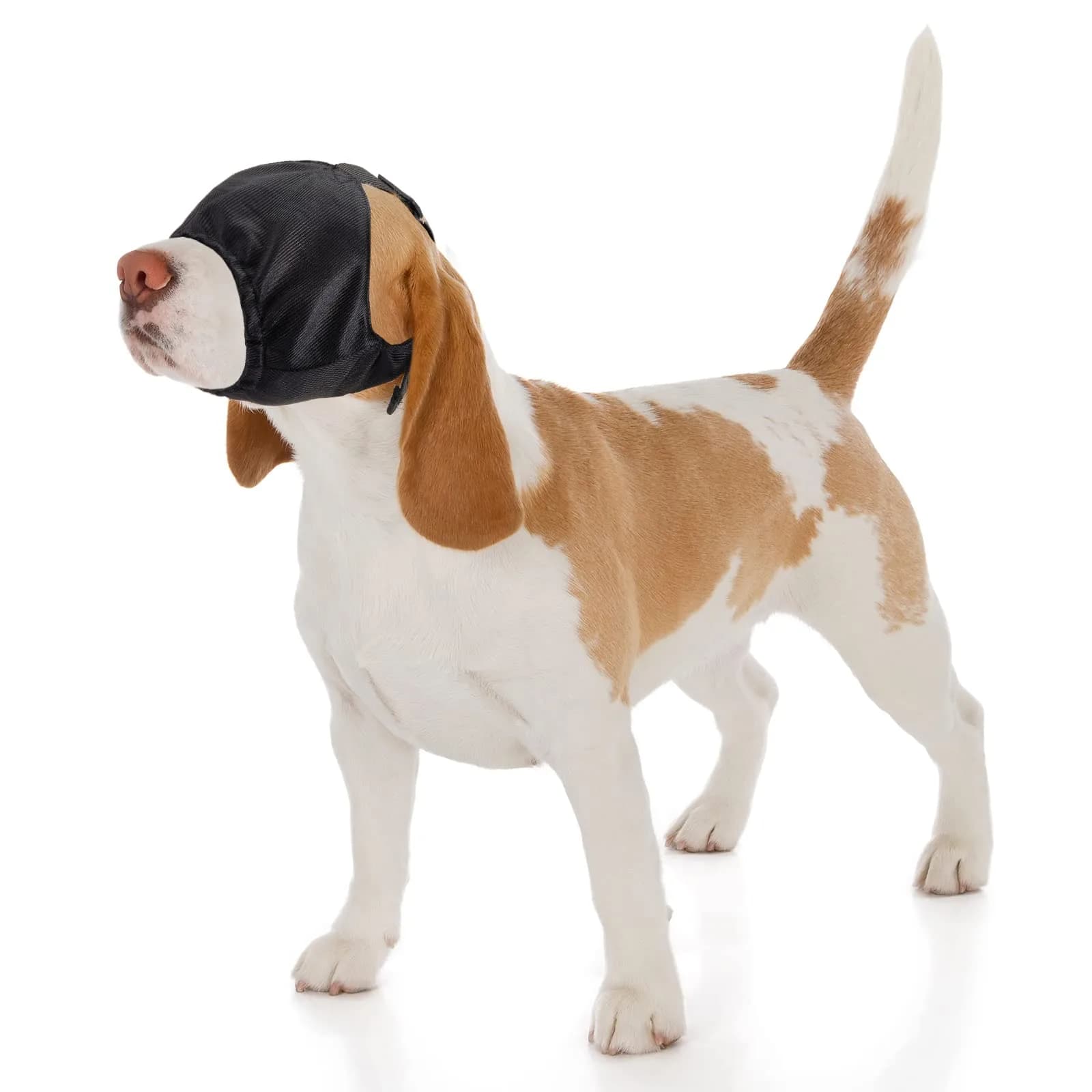 Xuniea Dog Calming Cap Blindfold Shading Medium | Anxiety Eye Cover for Dogs - main product image