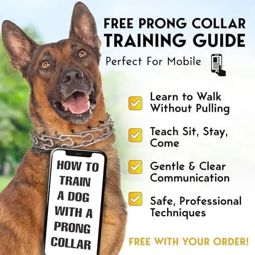 PET JETT Dog Prong Collar 18-20" | No Pull Adjustable Stainless Steel Choke Chain thumbnail 7