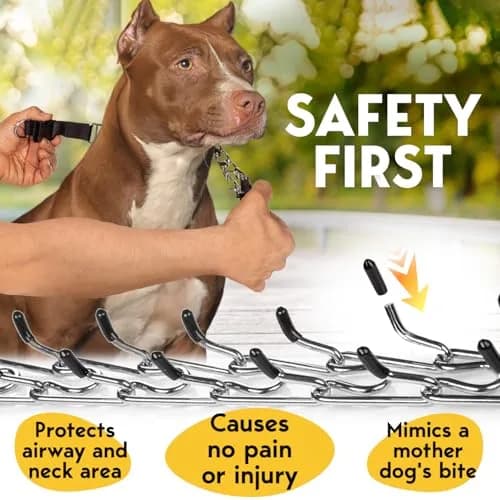 PET JETT Dog Prong Collar 18-20" | No Pull Adjustable Stainless Steel Choke Chain thumbnail 3