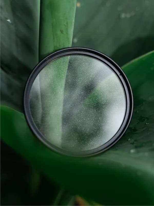 Tiffen 67mm Glimmerglass 1/4 Diffusion Filter & Halation Filter | Softens Highlights, Reduces Contrast - view 7