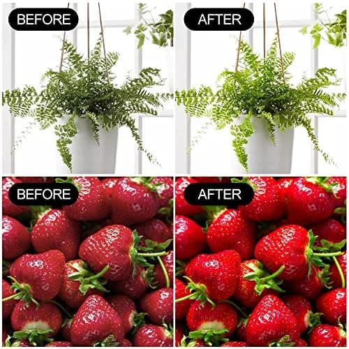 mfxmf 2 Pack Full Spectrum LED Grow Light Bulbs, 9W Replace 100W Equivalent, E26 Base thumbnail 6
