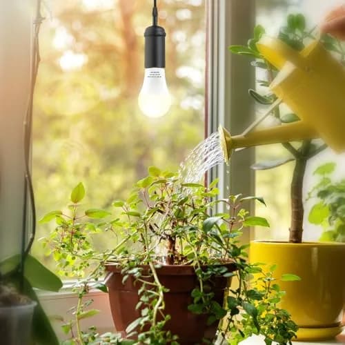 mfxmf 2 Pack Full Spectrum LED Grow Light Bulbs, 9W Replace 100W Equivalent, E26 Base thumbnail 2