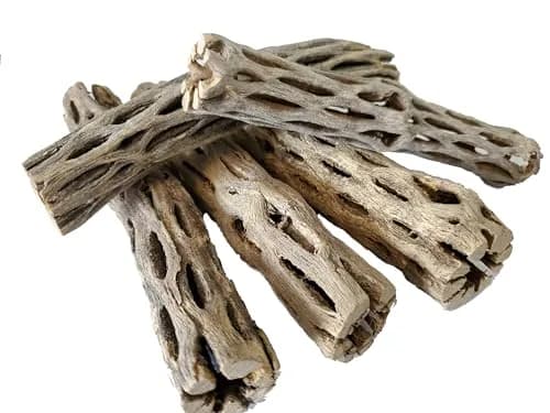 SoShrimp Natural Cholla Wood for Aquarium Decoration 6 Inch (5 Pack) | Creates Realistic Underwater Environments — 6 Inch