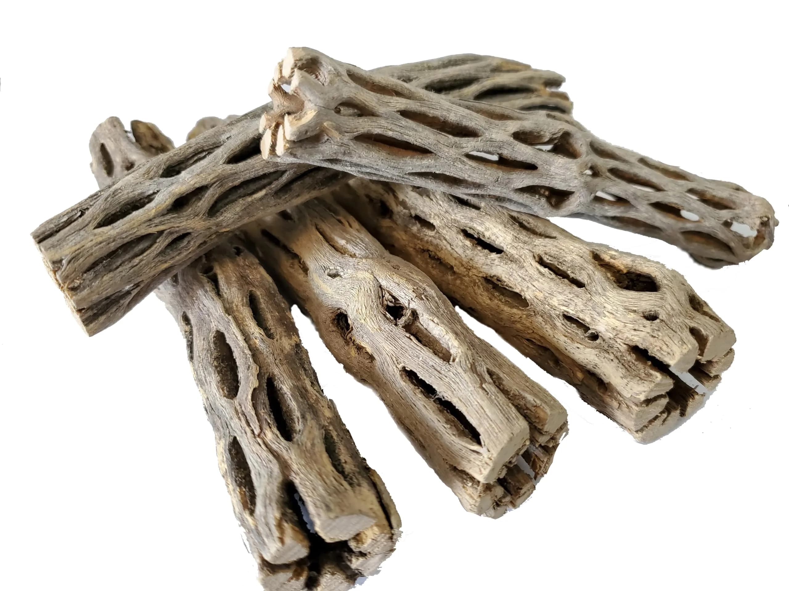 SoShrimp Natural Cholla Wood for Aquarium Decoration 6 Inch (5 Pack) | Creates Realistic Underwater Environments