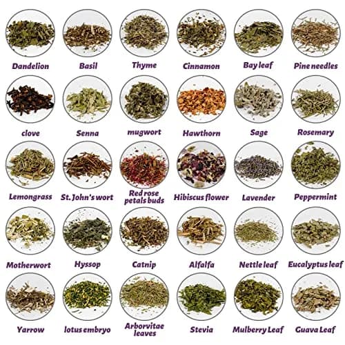 HOOMUU 30-Pack Witchcraft Herbs and Flowers for Altar Crafts | Natural Dried Botanicals for Spell Jars, DIY Gifts, and Home Decor thumbnail 2