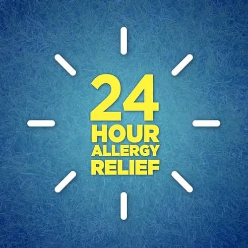 GoodSense Loratadine 10 mg Allergy Relief Tablets | 100 Count, Non-Drowsy, 24-Hour Relief thumbnail 8