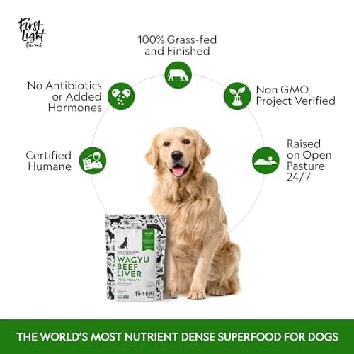 First Light Farms Freeze-Dried Wagyu Beef Liver Dog Treats 113g (4oz) | Nutrient-Dense Superfood for All Breeds thumbnail 5