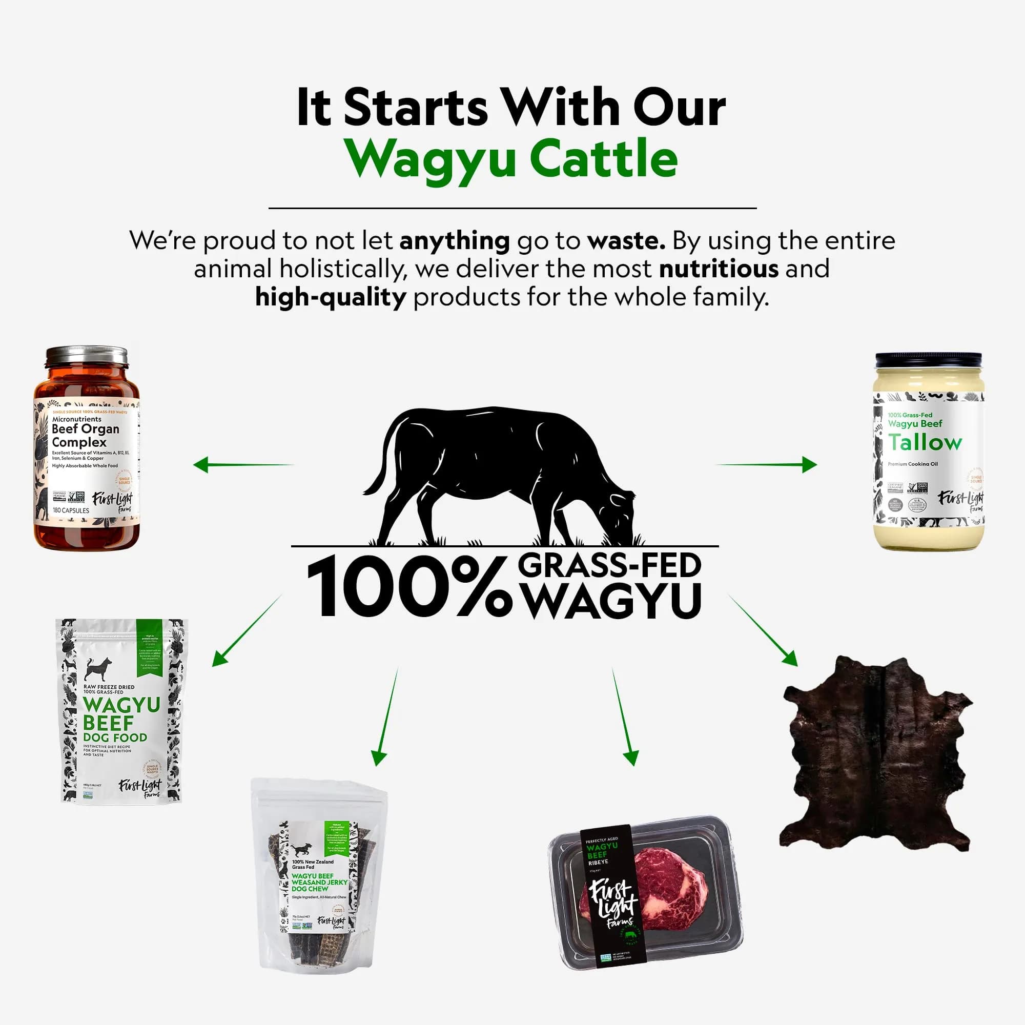 First Light Farms Freeze-Dried Wagyu Beef Liver Dog Treats 113g (4oz) | Nutrient-Dense Superfood for All Breeds - view 6