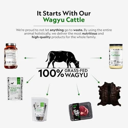 First Light Farms Freeze-Dried Wagyu Beef Liver Dog Treats 113g (4oz) | Nutrient-Dense Superfood for All Breeds thumbnail 6
